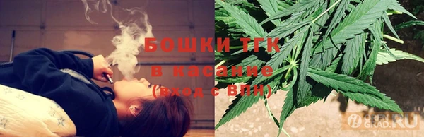 ГАЛЛЮЦИНОГЕННЫЕ ГРИБЫ Алексин
