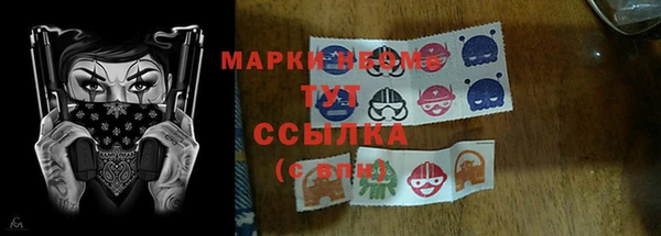 ГАЛЛЮЦИНОГЕННЫЕ ГРИБЫ Алексин