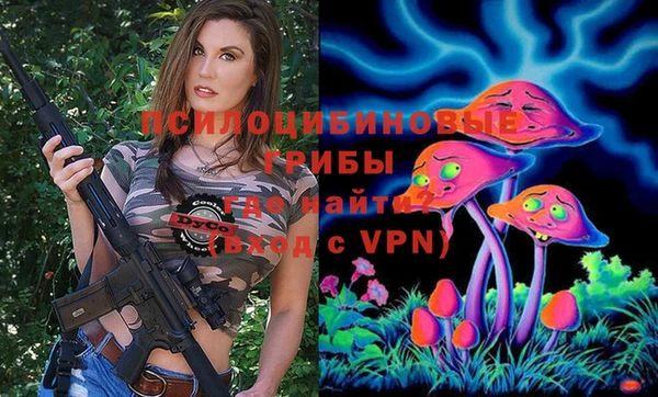 ГАЛЛЮЦИНОГЕННЫЕ ГРИБЫ Алексин